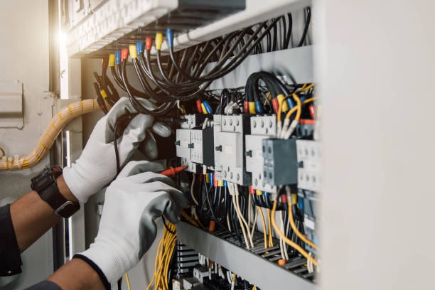 Best Electric Panel Repair  in Lusk, WY